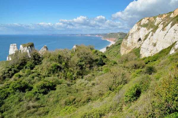 This Branscombe to Beer Coastal Walk enjoys all that is best about East Devon! Why not make a break of it and stay at one of our East Devon cottages nearby?